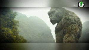 Гигантопитеки: самые большие обезьяны древности