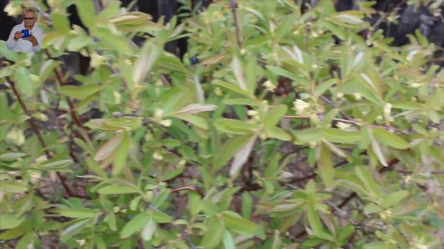 Как мы провели вчерашний день на даче смотреть онлайн