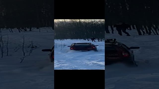 шевик по снегу