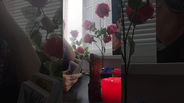 Крадники - что это, как снять и какие меры осторожности предпринять смотреть онлайн