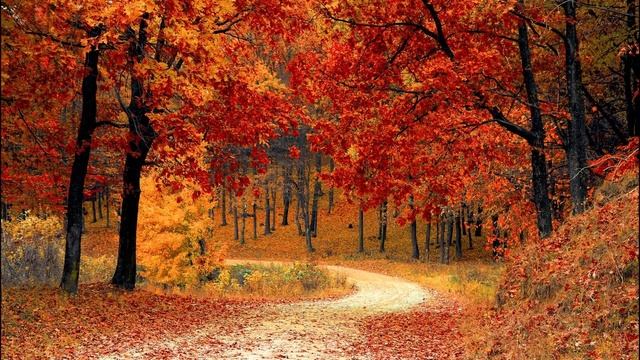 WALK IN THE FOREST: Meditation, Relaxation, Sleep and Lullaby смотреть онлайн