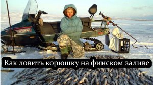 Как ловить корюшку на финском заливе