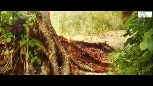 Asatoma - Sneha Arora - Oṁ śhānti смотреть онлайн