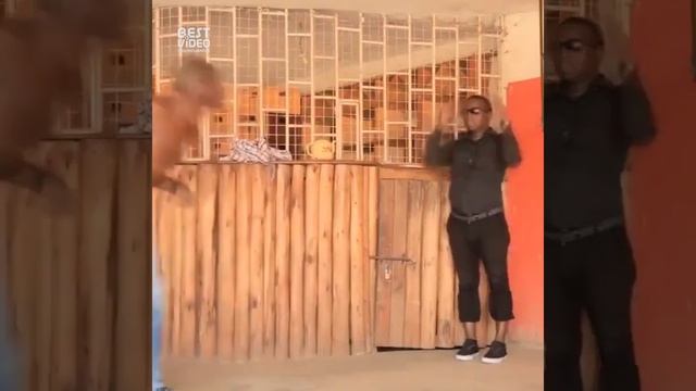 Безбашенные танцы?? смотреть онлайн