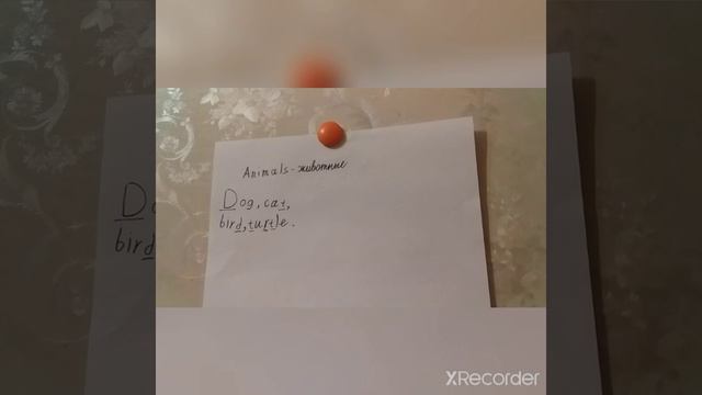 Английский язык. Урок 1.Тема животные - animals. 🐵🐔🐶🐷 Читать. опис. смотреть онлайн