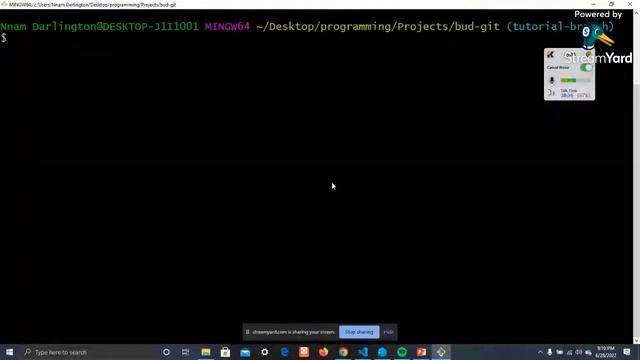 Introduction to Git/GitHub (Part 2) смотреть онлайн