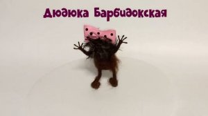 Дюдюка