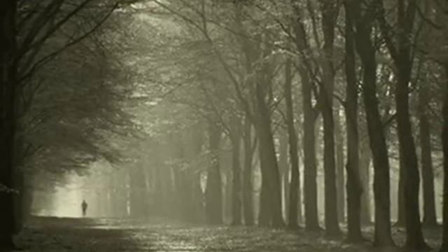 MAA - Tare Zameen Par! смотреть онлайн