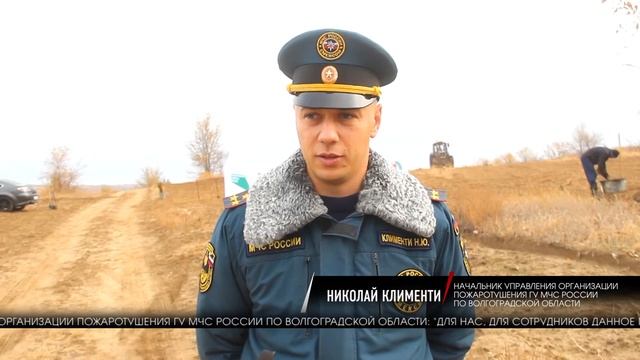 Более 4-х тысяч розовых акаций высадили в Волгограде смотреть онлайн