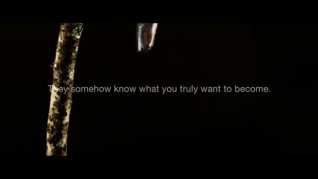 Ruulio Mortgage - Think Innovation смотреть онлайн
