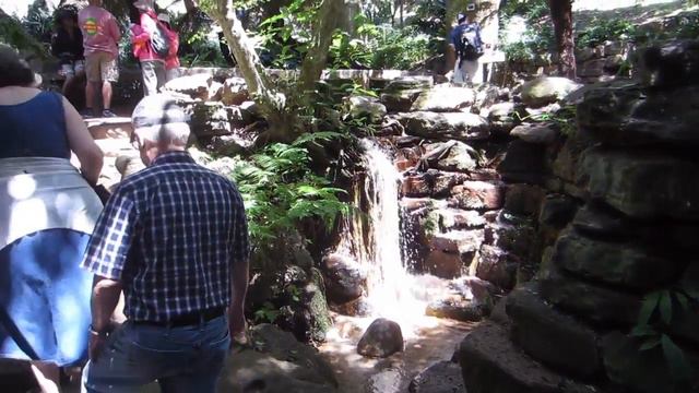 Kirstenbosch Gardens - Cape Town Vacation Vlog смотреть онлайн