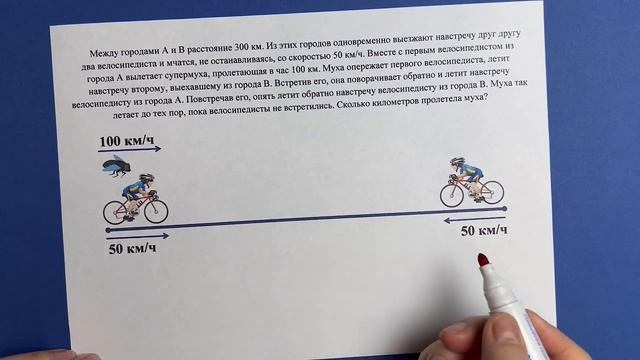 Олимпиадная задача про супермуху и велосипедистов! Сколько пролетела муха? смотреть онлайн