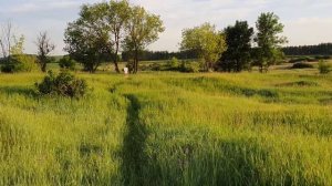 БУЛЛПАП КРЮГЕРА 6.35 JSB 2.2 И ПОЛНОТЕЛ 2.5 НА 100М! PCP ВИНТОВКИ НА ЗАКАЗ!