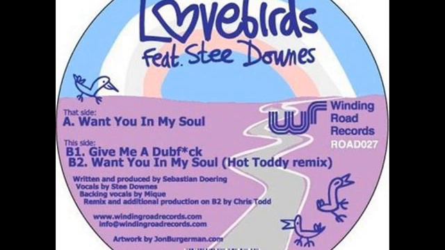 Lovebirds Feat. Stee Downes-Want You In My Soul (Scott Diaz Funk Excursion)