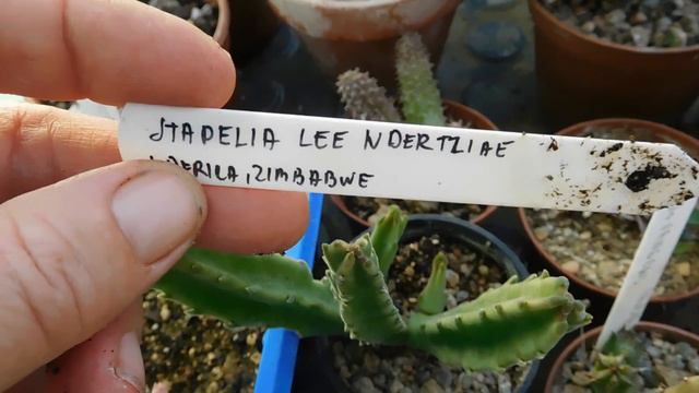 September in greenhouse .Part 1 смотреть онлайн