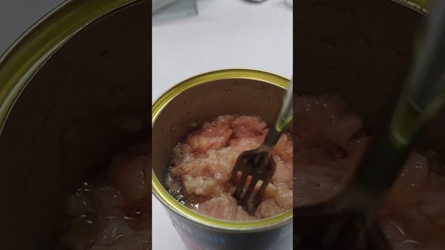тушёнка из тунца в светофоре