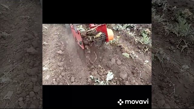 Копалка корня хрена смотреть онлайн