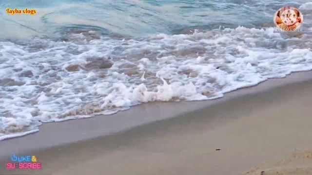 Aqsa Sarwar Ki Bahan Hun Mai || America K Beach Pa Kia Dekha || Husband Ne Kuch Special Banaya Aj смотреть онлайн