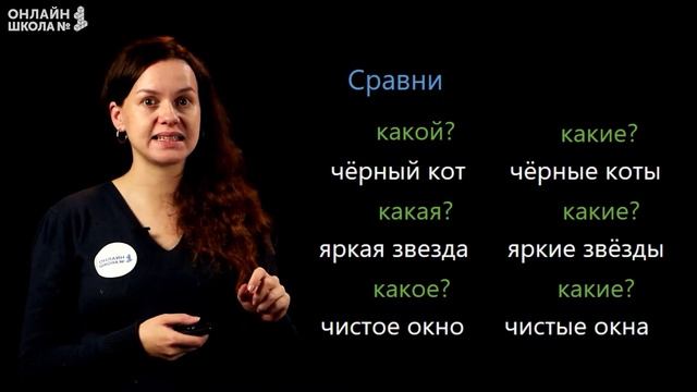 Видеоурок 21.2. Число имени прилагательного. Русский язык 2 класс