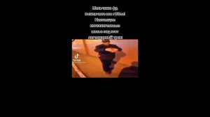 все песни про дольче милк