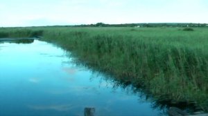 Река Богучарка от истока до устья.