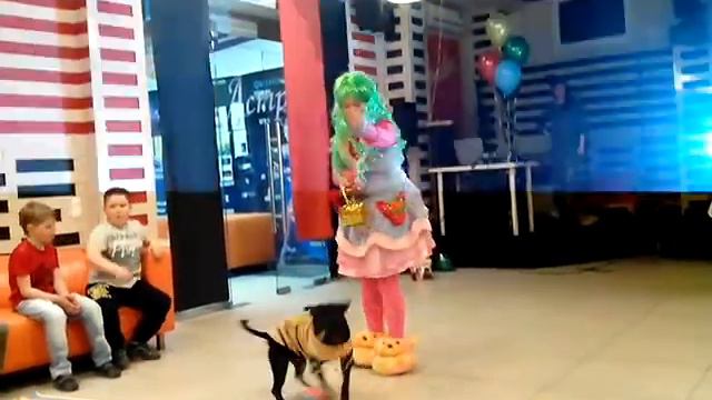 Цирковые трюки смотреть онлайн