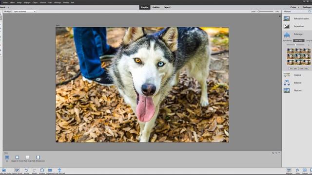 Tuto Comprendre l'interface et les calques dans Photoshop Elements 2021 смотреть онлайн
