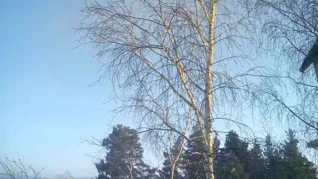 НАБЛЮДЕНИЯ НАТУРАЛИСТА 17. 02. 2020 г. Погода в Нижнеудинске. смотреть онлайн
