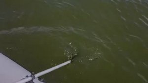 Лодка Reef Риф 335 НДНД испытания. Удобно ли стоять в лодке