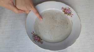 Эксперимент: Боятся ли микробы мыла?