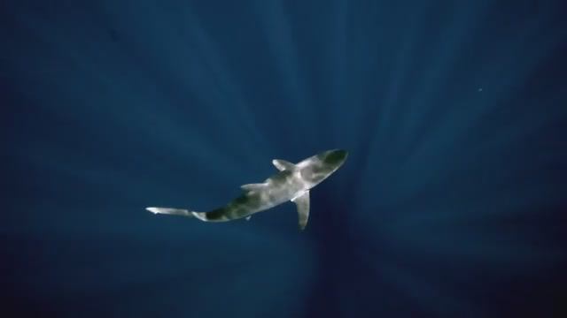 Aquis Date 733 7730 41 35