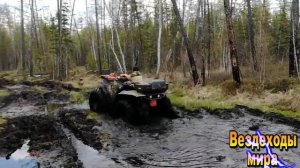 Квадроциклы"Сокол"чемпионы Вездеход Трофи"Ладога 2018".