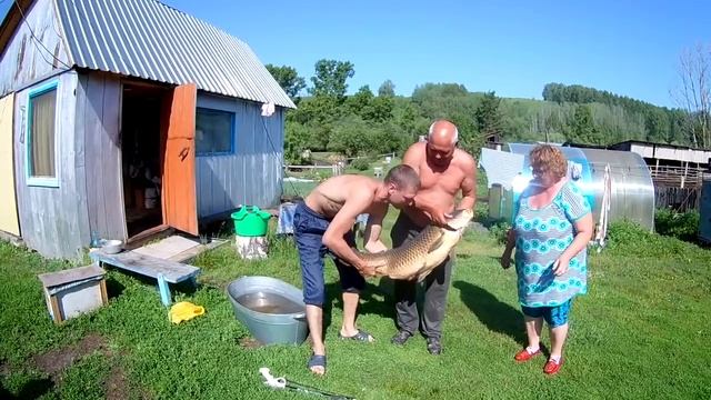 Большой карп// Жизнь в деревне смотреть онлайн