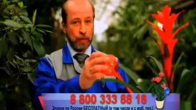 Шар для автополива растений Аква Глоб 2 шт смотреть онлайн