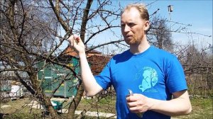 Александр Петров. Обработка вишни от монилиоза, часть 1