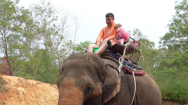 Страх прошел .Жулик кормила слона и радовалась . смотреть онлайн