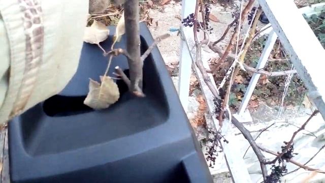 Садовый измельчитель Зубр ЗИЭ-40-2500 смотреть онлайн