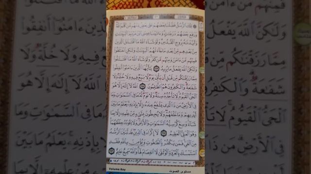 Оятал курси Каждый День Надо Паслушат. смотреть онлайн