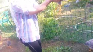 Мои Билефельдеры 3.mp4