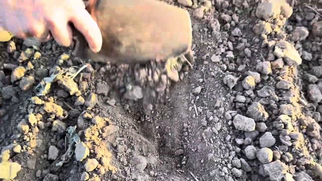 Начало посевной 2023! Сеем пшеницу! смотреть онлайн