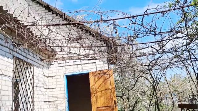 НАША ДАЧА навесні.Роботи багато!🌾🌷🍀#дачазнуля#дачанавесні#дача#сад#квіти#квітник#город#насіння#весн