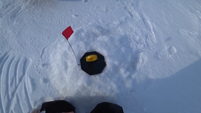 Оставили жерлицы! Судак или щука? Шолак! Рыбалка в Казахстане! смотреть онлайн