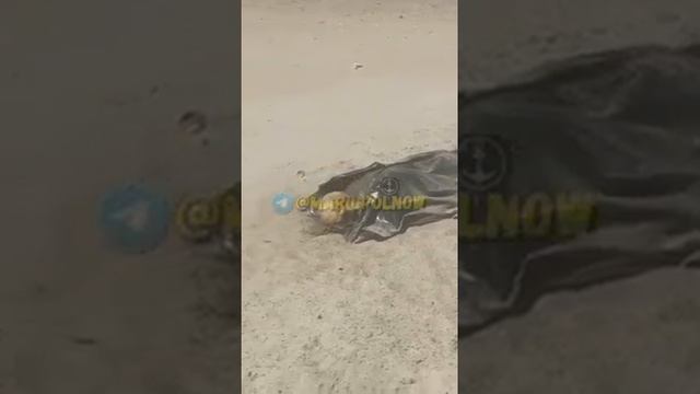 Трупы на пляже Мариуполя никто не убирает, июнь 2022 смотреть онлайн