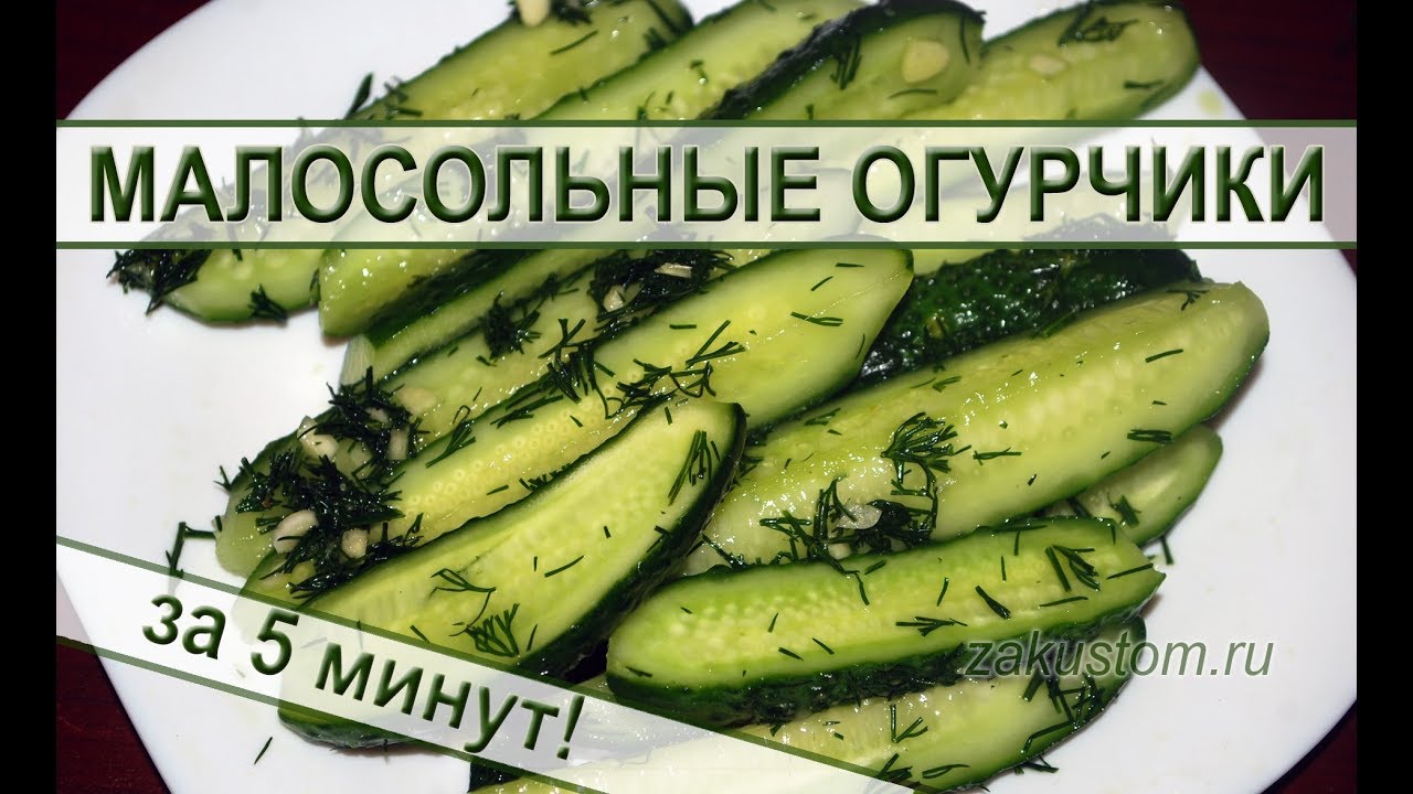 Малосольные огурцы - самый вкусный и быстрый рецепт приготовления огурчиков смотреть онлайн