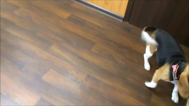 Я не трус,но я боюсь смотреть онлайн