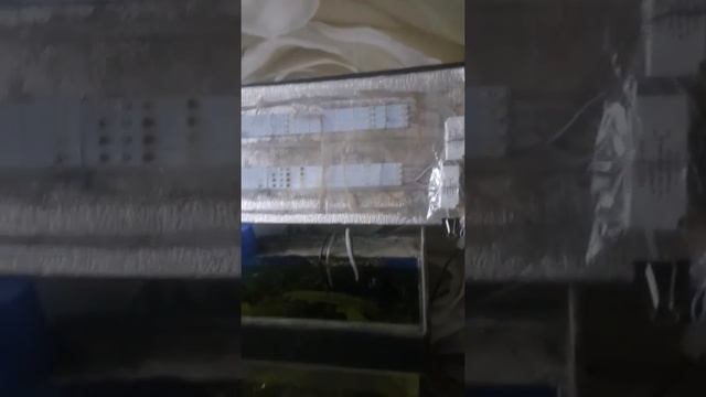 свет в аквариуме из светодиодных лент смотреть онлайн