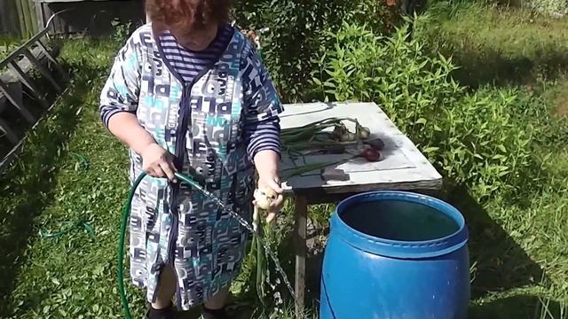 Карелия. Уборка лука. Дача смотреть онлайн