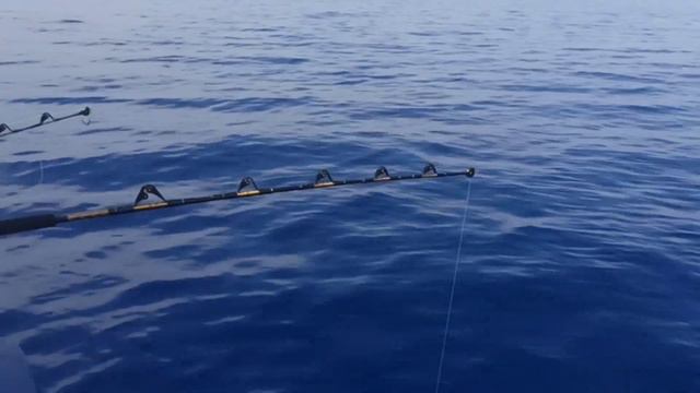 Морская рыбалка тунца, ψάρεμα τουνας, tuna fishing. смотреть онлайн