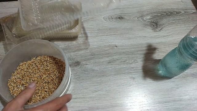 Бизнес идея !!! Трава для животных смотреть онлайн