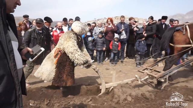 День первой борозды - Балхар.  